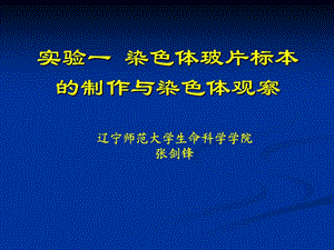 实验一染色体玻片标本的制作与染色体观察.ppt