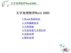 Word_2003课件.ppt