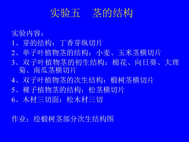 实验五茎的结构.ppt_第1页