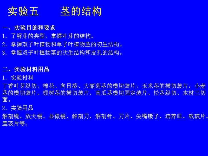 实验五茎的结构.ppt_第2页