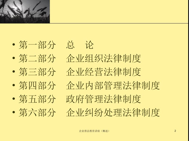 企业普法教育教育讲座概述-企业依法经营管理培训讲座.ppt_第2页