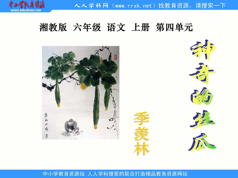 湘教版六年级上册神奇的丝瓜课件1.ppt_第1页