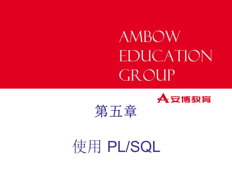 五章使用PLSQLppt课件.ppt_第1页