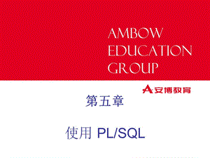 五章使用PLSQLppt课件.ppt