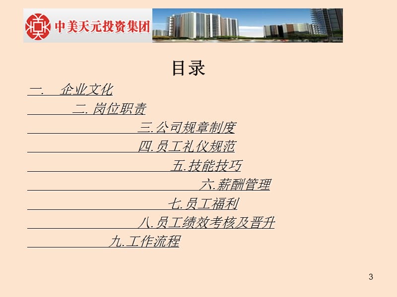 中美天元投资集团.ppt_第3页