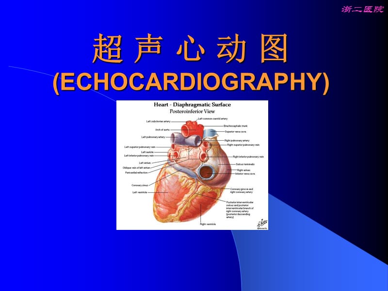 超声心动图(心肌病).ppt_第1页