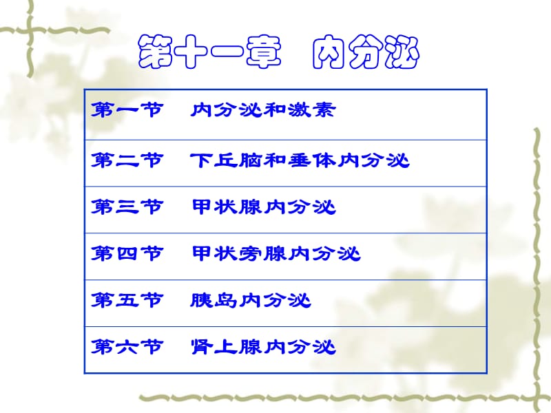 《内分泌本科呢》PPT课件.ppt_第1页