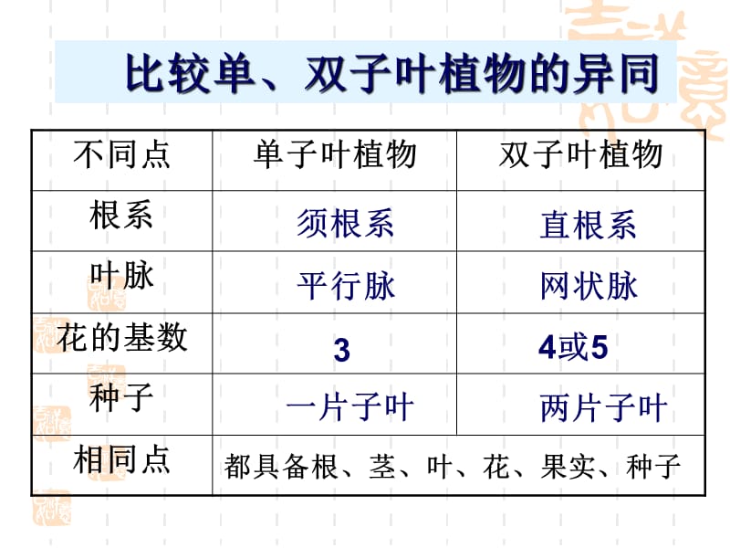 冀教版七上生物课件我国珍稀植物.ppt_第2页