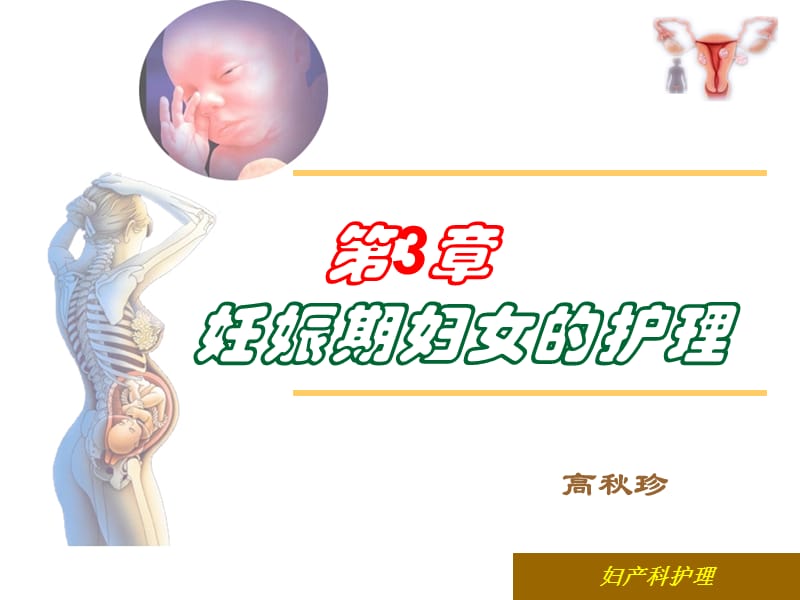 《妊娠点生理》PPT课件.ppt_第1页