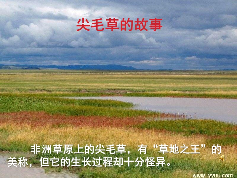 尖毛草的故事.ppt_第1页