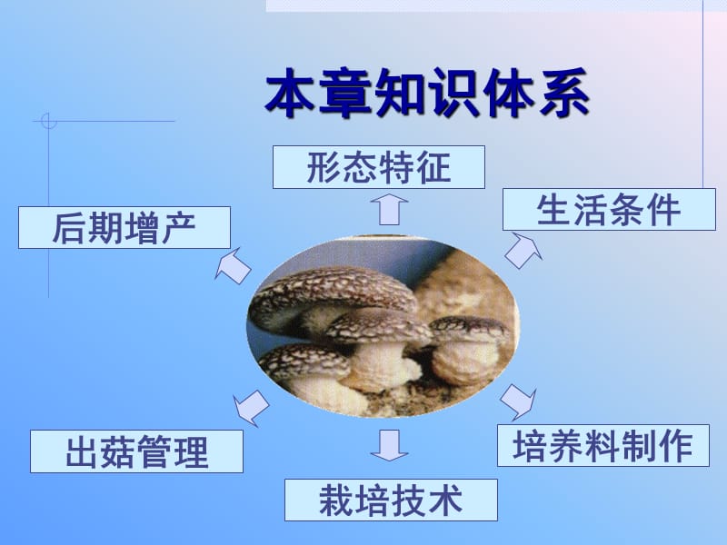 第八部分香菇栽培.ppt_第2页