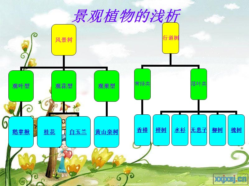 景观植物的浅析.ppt_第1页