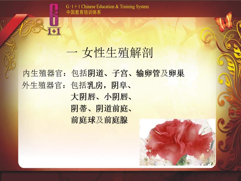 女性专业知识讲座.ppt_第2页