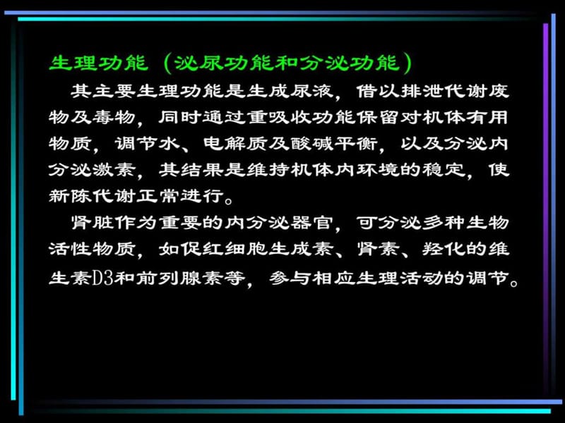 《人体解剖生理关学》第十章 泌尿系统-上海海洋大学-吴文.ppt_第3页