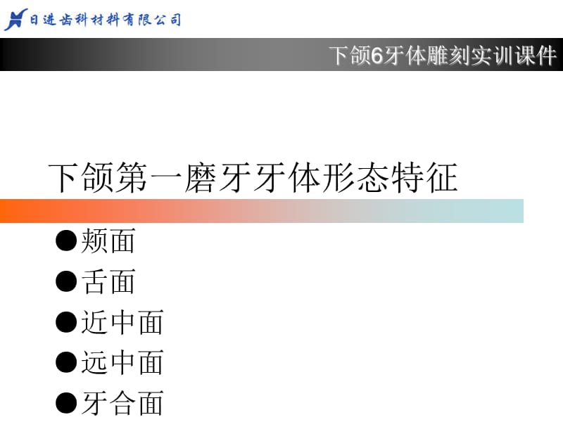 下6牙体形态简述.ppt_第1页