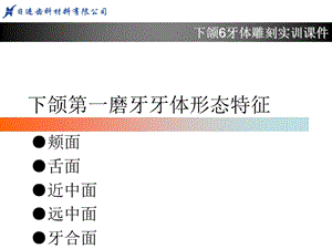 下6牙体形态简述.ppt