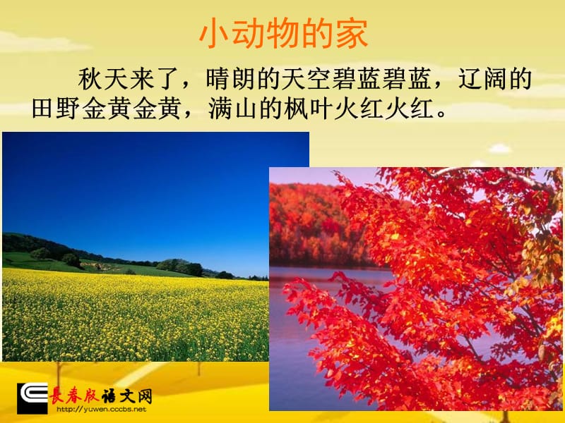 长春版一年级上册《小动物的家》课件1.ppt_第3页