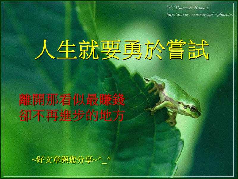 人生要勇于尝试.ppt_第1页