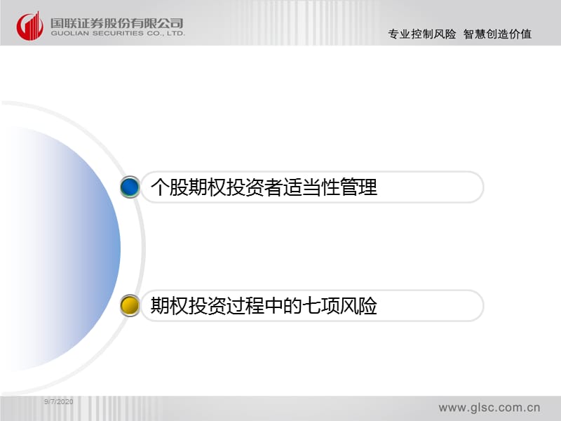 期权投资的基本风险.ppt_第2页