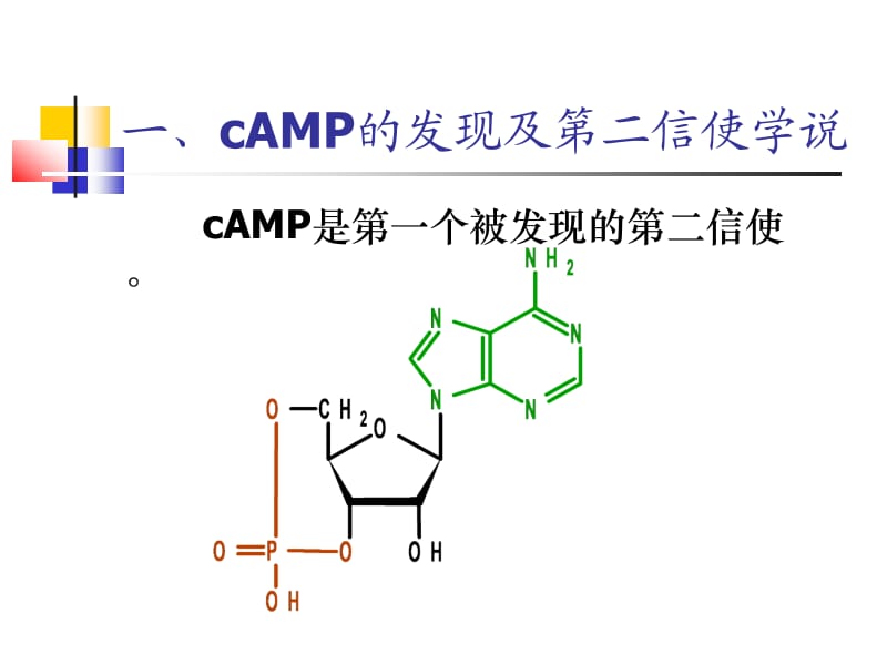 信号转导第二次课.ppt_第2页