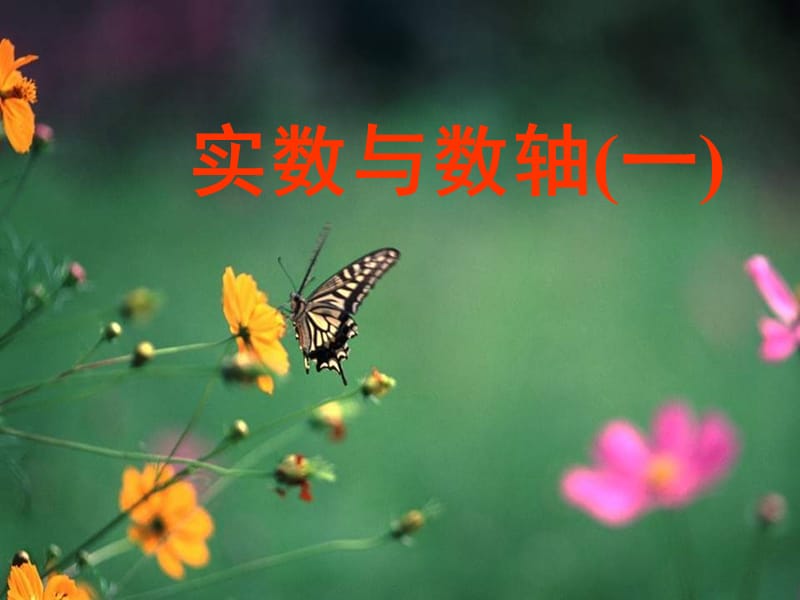 实数与数轴一.ppt_第1页