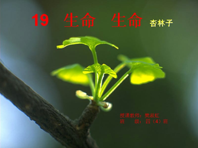 授课教师樊淑虹班级四4班.ppt_第1页