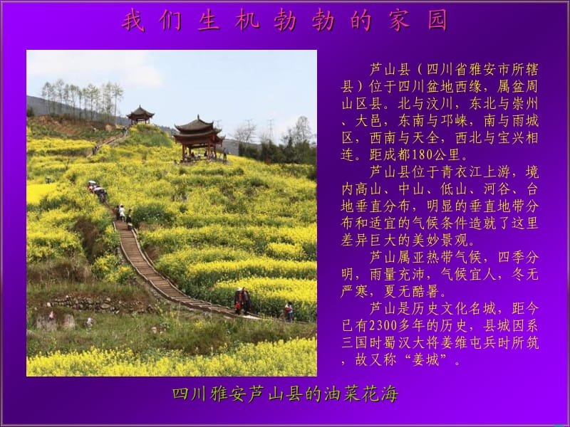 我们生机勃勃的家园.ppt_第1页