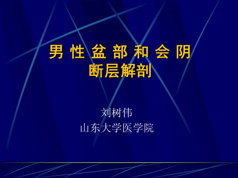 男性盆部和会阴断层解剖.ppt_第1页