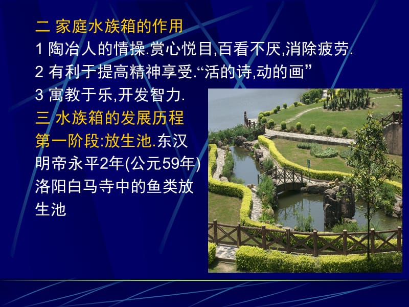 水族箱造景与水草养殖.ppt_第3页