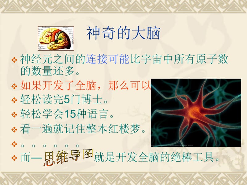 思维导图教材.ppt_第2页