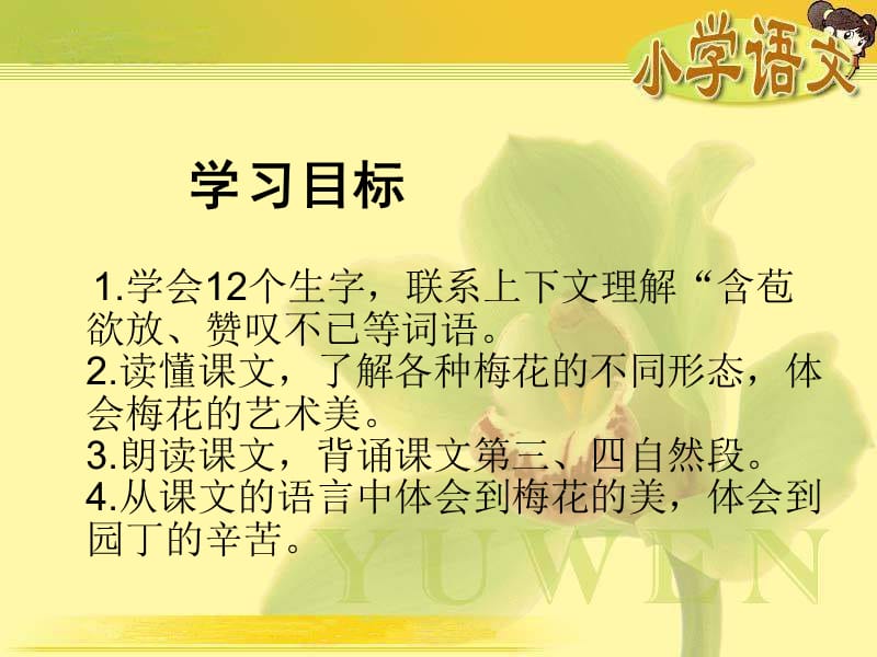 湘教版三年级上册新春赏梅课件.ppt_第2页