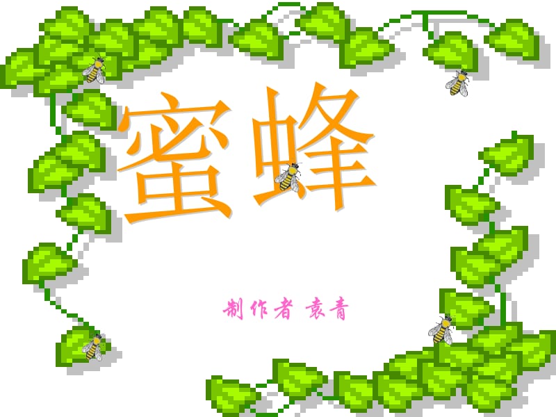 制作者袁青.ppt_第1页