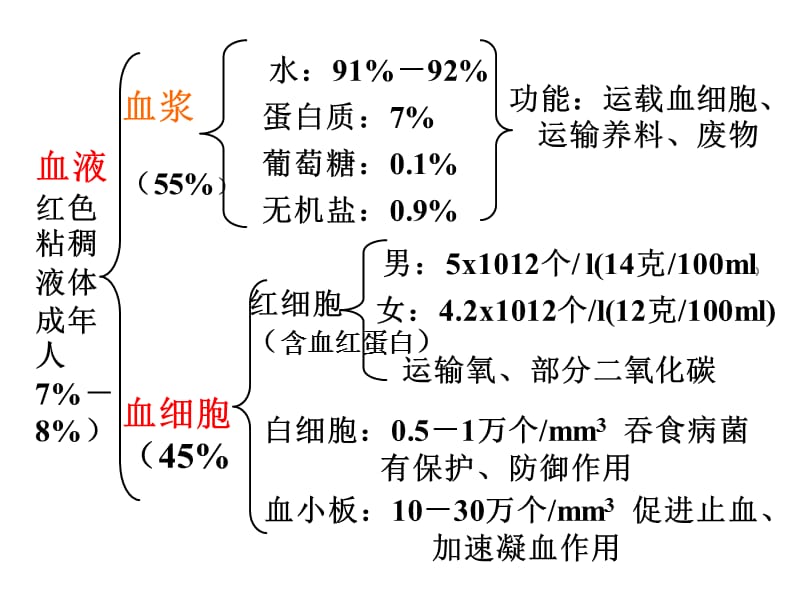 循环系统.ppt_第2页