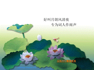 中国风荷花啦.ppt