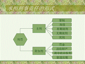 消费者权益保护法讲义54.ppt