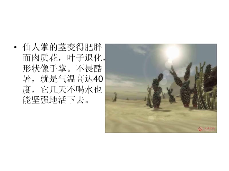 生命安全教育适者生存.ppt_第2页