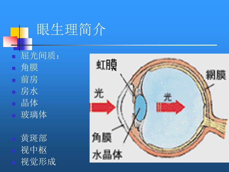 医学验光配镜常规.ppt_第2页