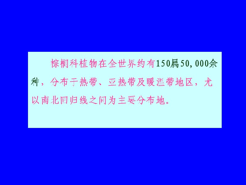 棕榈科植物.ppt_第2页