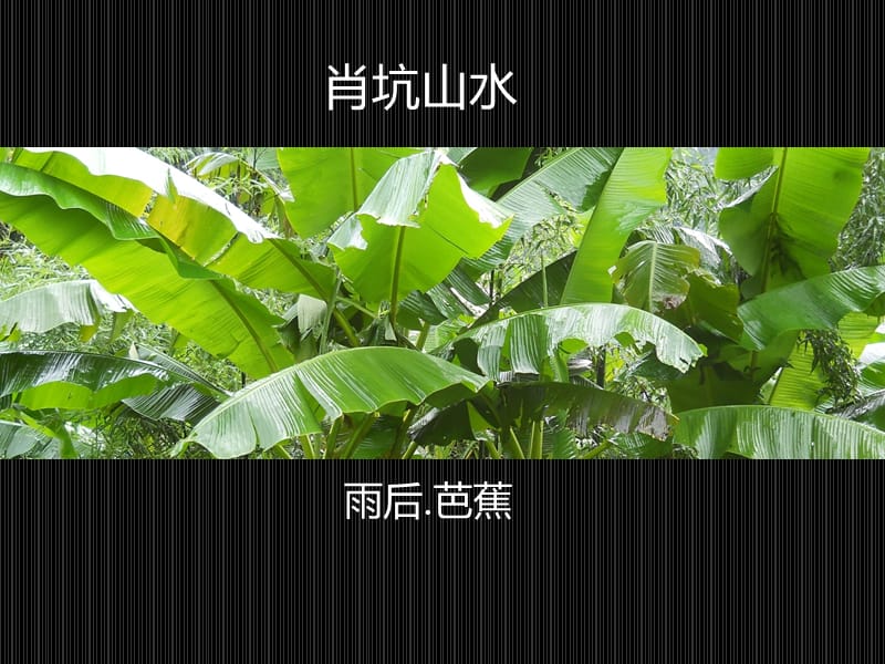 肖坑山水.ppt_第2页