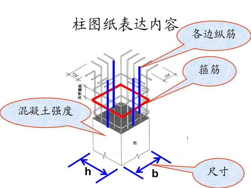 柱配筋图阅读ppt课件.ppt_第1页