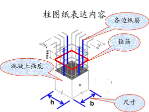 柱配筋图阅读ppt课件.ppt