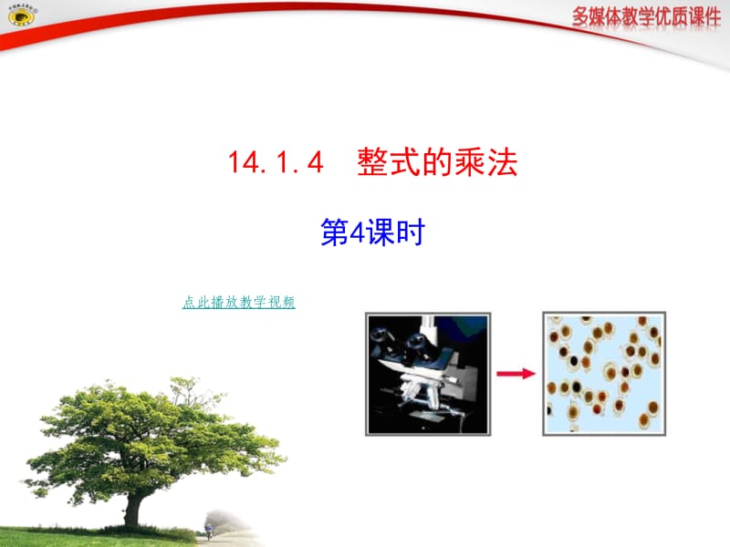 整式的乘法第四课时初二数学上册.ppt_第1页