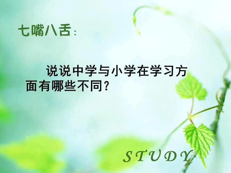 说说中学与小学在学习方面有哪些不同.ppt_第2页