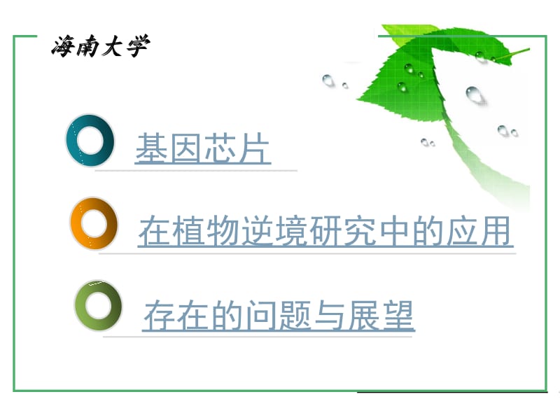 植物逆境.ppt_第2页