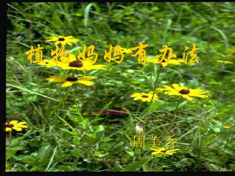 植物妈妈有办法人教新课标二年级语文上册.ppt_第1页