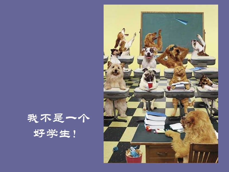 研究生学习生活经验交流ppt课件.ppt_第2页