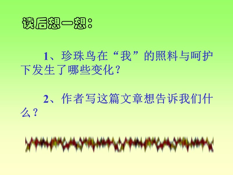 珍珠鸟2.ppt_第2页