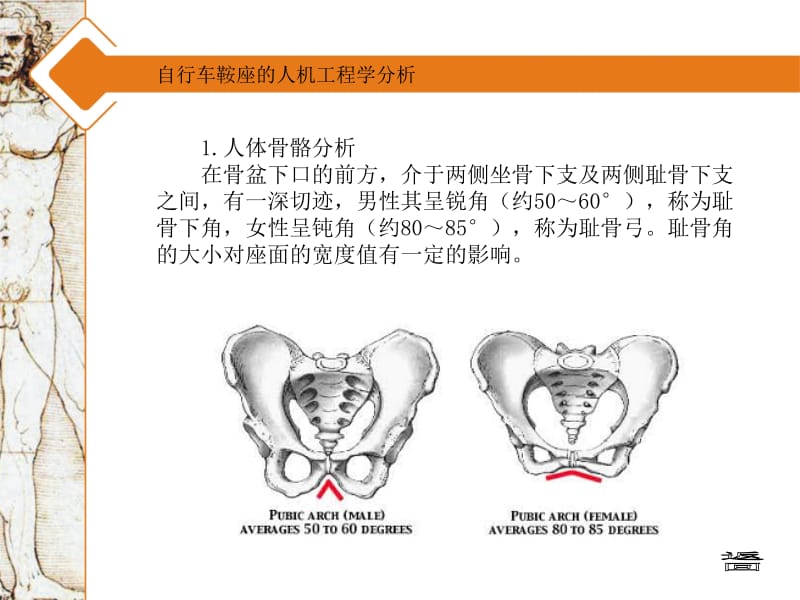 自行车鞍座的人机工程学分析.ppt_第2页