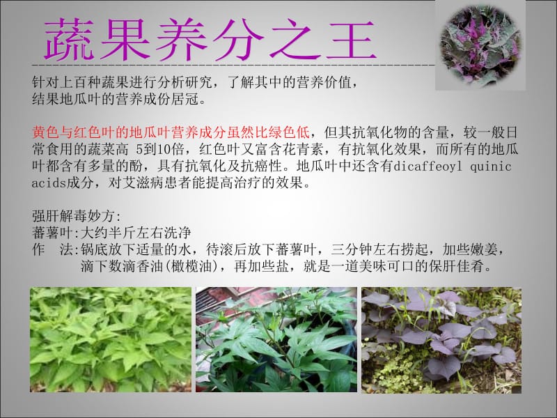 蔬菜与养生.ppt_第2页