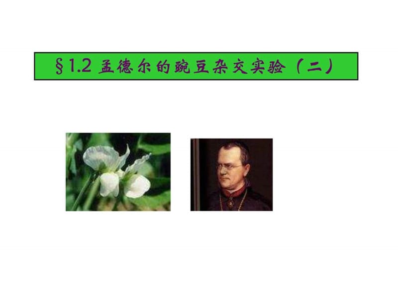 2011年高考生物一轮复习课件孟德尔的豌豆杂交实验(二).ppt_第1页